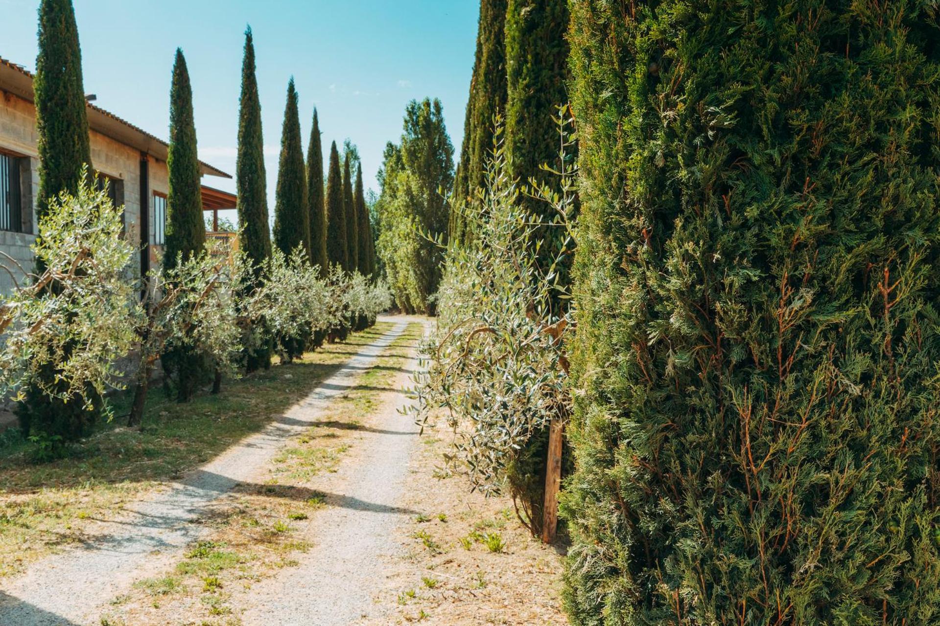 קורטונה Agriturismo Il Borgo מראה חיצוני תמונה
