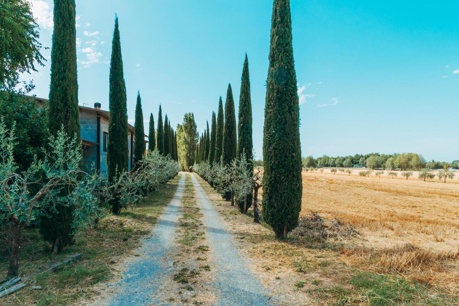 קורטונה Agriturismo Il Borgo מראה חיצוני תמונה